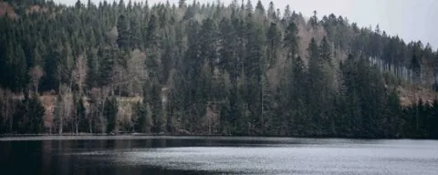Black Forest, Germany